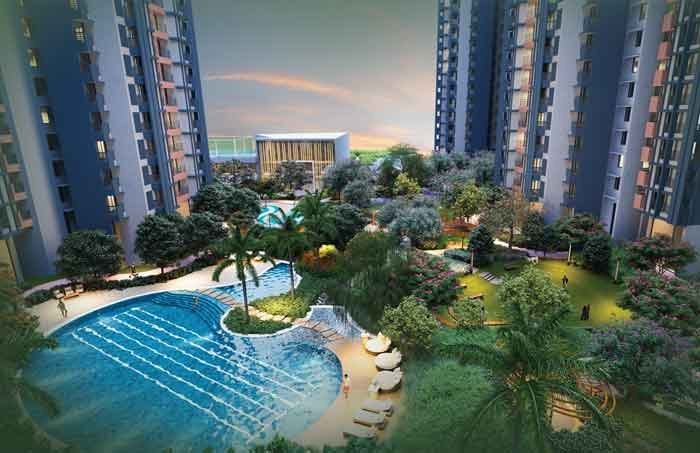 Avatara Ace The Forest Kingdom Thane